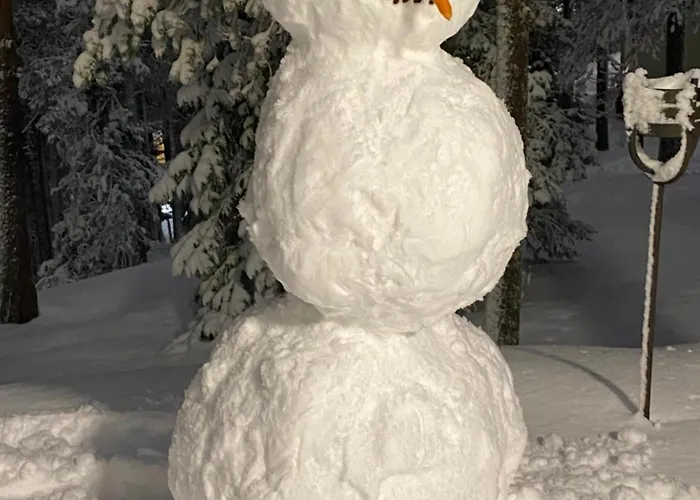 Ruka Village, 4br A27, 133m2 קוסאמו